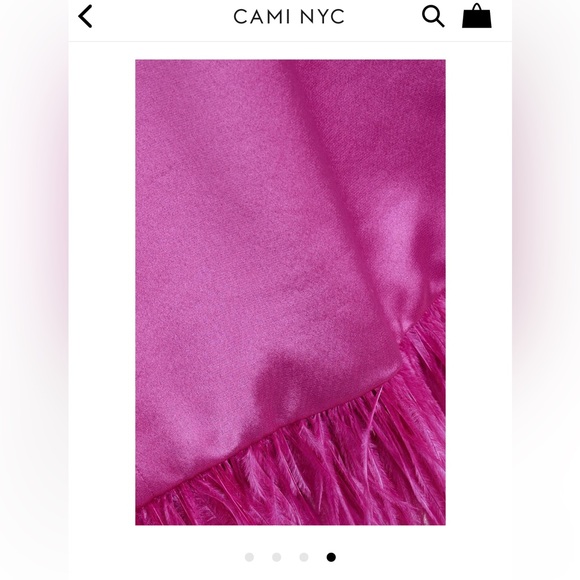 CAMI NYC Roxanne Feather Dress NWT - Picture 4 of 11